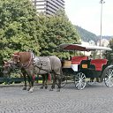 ���� ������, ����, 64 ���� - ��������� 28 ���� 2012 � ������ �Cehija.Praga.Karlovi Vari.�