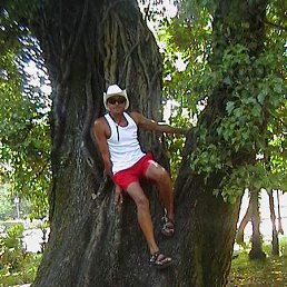 ���� ������, ������, 52 ���� - ��������� 18 ���� 2013