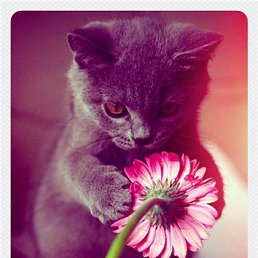 ���� Katyschka, ������, 29 ��� - ��������� 22 ������� 2012