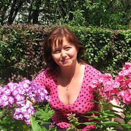 ���� ������, ������ - ��������� 3 ���� 2013