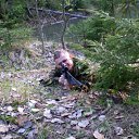 ���� �������, ��������, 40 ��� - ��������� 16 ��� 2011 � ������ ���� ����������