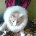 ���� Elena, ������, 48 ��� - ��������� 11 ���� 2013 � ������ ���� ����������