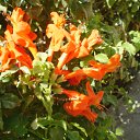 ���� Natali, ������ - ��������� 1 ���� 2010 � ������ ������-��� ������.....�