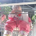 ���� ���� �������, ������, 46 ��� - ��������� 15 ���� 2012