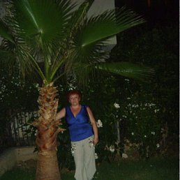 ���� �����, �������, 61 ��� - ��������� 2 ������� 2011