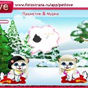  , , 33  -  12  2010   PetLove