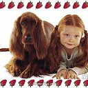 ���� �������, ����� - ��������� 5 ������� 2012 � ������ ���������Ȼ