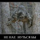 ���� ��������, ������, 36 ��� - ��������� 16 ������� 2012 � ������ ���� ����������