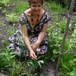 ����� �������, ����, 65 ���