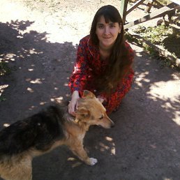 ���� �����, ���������, 43 ���� - ��������� 7 ������� 2012