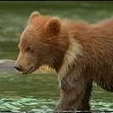 ���� ����, ��������, 59 ��� - ��������� 8 ������� 2011