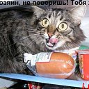 ���� ����, ������ ��������, 41 ��� - ��������� 12 ������� 2009 � ������ ������ ����