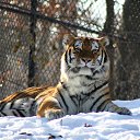   !,  -  27  2009     ...