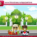   ~~, , 58  -  19  2010   PetLove