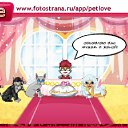  **royal C@nin**, , 24  -  17  2011   PetLove