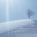 ���� �����, ����� - ��������� 29 ������ 2013 � ������ ���ѻ