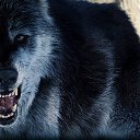 ���� �����, �����-�������� - ��������� 4 �������� 2012 � ������ �� ���� � ���� ������� ���.�