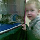 ���� ���������, ������-���, 43 ���� - ��������� 26 ������ 2011 � ������ ���� ����������