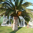 ���� ����, �������, 42 ���� - ��������� 19 ������� 2012 � ������ �������