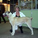 ���� �����, ������ - ��������� 12 ���� 2013