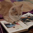 ���� Igor, �����, 50 ��� - ��������� 14 ������� 2009 � ������ �������