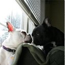 ���� ����� - ���������� ��������!!!, �����������, 56 ��� - ��������� 10 ������ 2010 � ������ �������