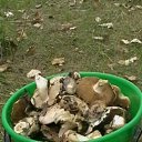 ���� �����, ���������, 54 ���� - ��������� 9 ����� 2012 � ������ �� � ��� �����