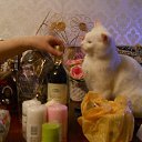 ���� �������, ����������� - ��������� 8 ������� 2013 � ������ ���� ����������