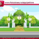 ���� ������, ���, 22 ���� - ��������� 3 ������� 2010 � ������ �PetLove�