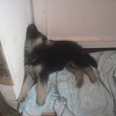 ���� ����, ������, 36 ��� - ��������� 19 ������� 2010 � ������ �������