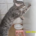 ���� �������, ������, 55 ��� - ��������� 16 ������ 2011 � ������ �������