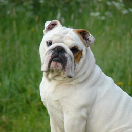 ���� ������, ������, 25 ��� - ��������� 1 ������ 2011