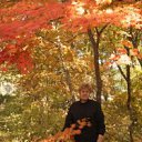 ���� �������, �����������, 71 ��� - ��������� 15 ���� 2013 � ������ ���� ����������