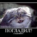 ���� ��� ����� :D, ����� - ��������� 30 ����� 2013 � ������ ������ ��������