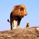 ���� �������, �������������� - ��������� 7 ������� 2012 � ������ ���� ����������