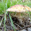 ���� �������, ������� - ��������� 10 ������ 2010 � ������ ����...������