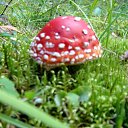 ���� �������, ������� - ��������� 10 ������ 2010 � ������ ����...������