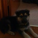 ���� ����, ��������� - ��������� 13 ����� 2010 � ������ ���� ����������