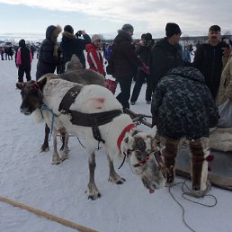 ���� ������, �������� - ��������� 8 ������ 2012