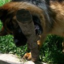  ,  -  18  2012      Ȼ