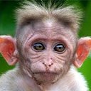 ���� ������, ������, 46 ��� - ��������� 16 �������� 2011 � ������ �������