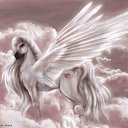 ���� ��������, ������, 22 ���� - ��������� 17 ����� 2013 � ������ ���� ����������