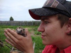 ������, ������, 35 ���