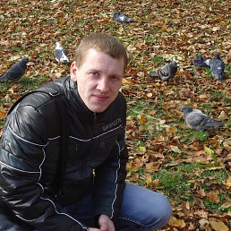 ���� �������, ��������, 38 ��� - ��������� 18 ������� 2012