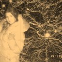 ���� ���������, �����, 33 ���� - ��������� 30 ������ 2008 � ������ ���� ����������