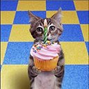 ���� Trockkot, ������, 24 ���� - ��������� 2 ����� 2013