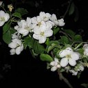 ���� ����, �������, 55 ��� - ��������� 16 ��� 2011 � ������ �� +�