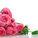 ���� �..., ����������� - ��������� 24 ��� 2013