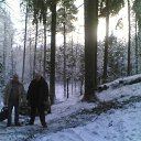 ���� �������, ������, 46 ��� - ��������� 29 ������� 2012