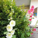 ����� � �������� �� ������� ����λ